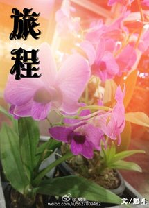 (GL百合)旅程