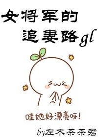 女将军的追妻路gl