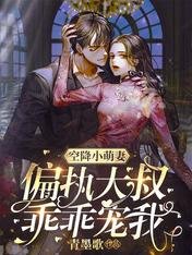 空降小萌妻:偏执大叔,乖乖宠我