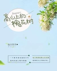 高山上的槐花樹