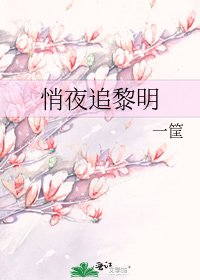 悄夜追黎明