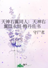 天神右翼同人:天神右翼Ⅲ永恒·梅丹佐书