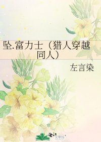 墜.富力士(獵人穿越同人)